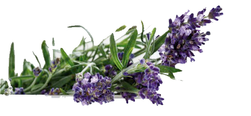 parfum-lavender.jpg