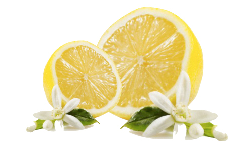 parfum-lemonverbena.jpg